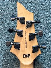 LTD GUITAR - DESIGNED BY ESP F-100FM (FC2012399) | eBay